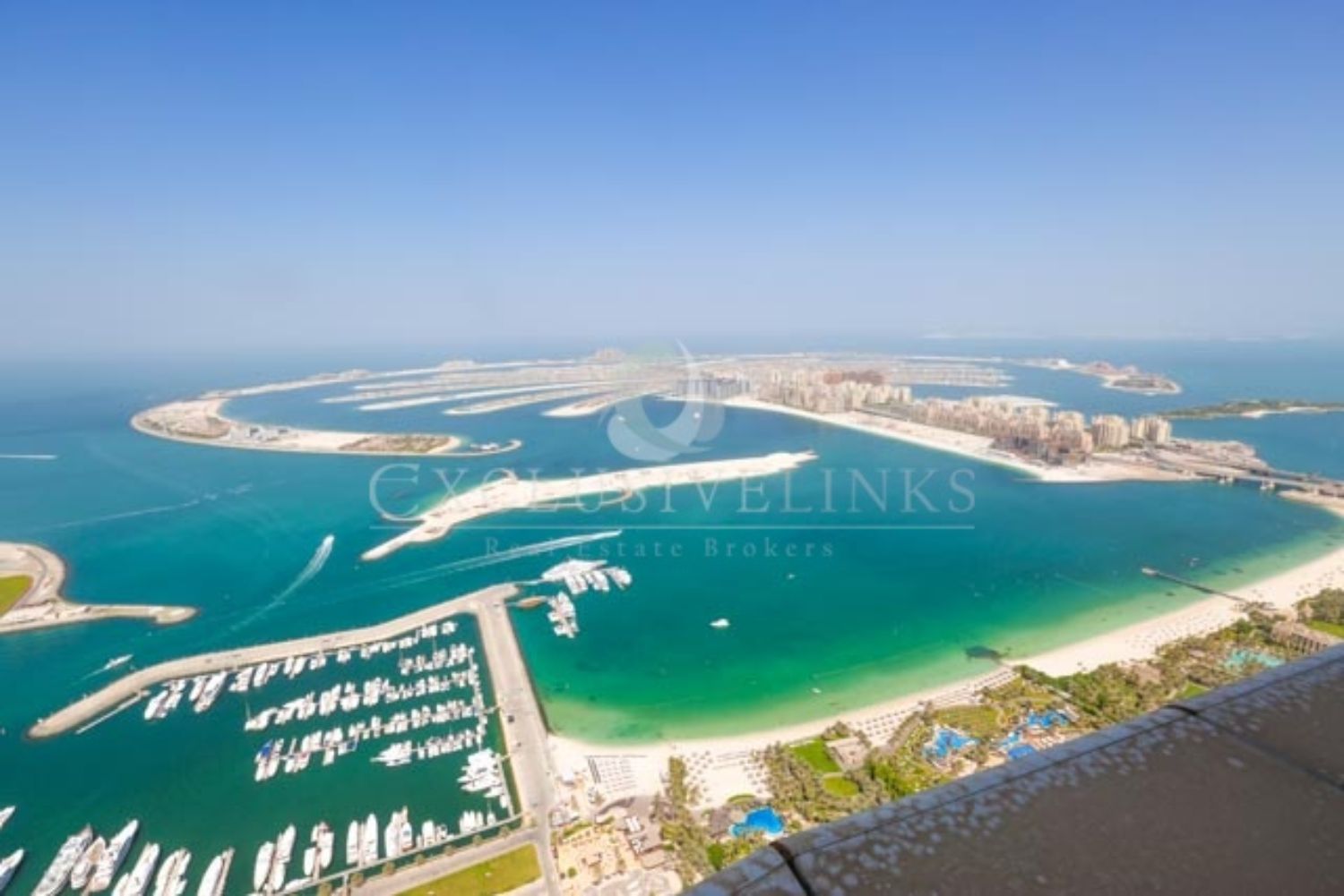 Al dabas palm banner - Exclusive Links - Exclusive Links