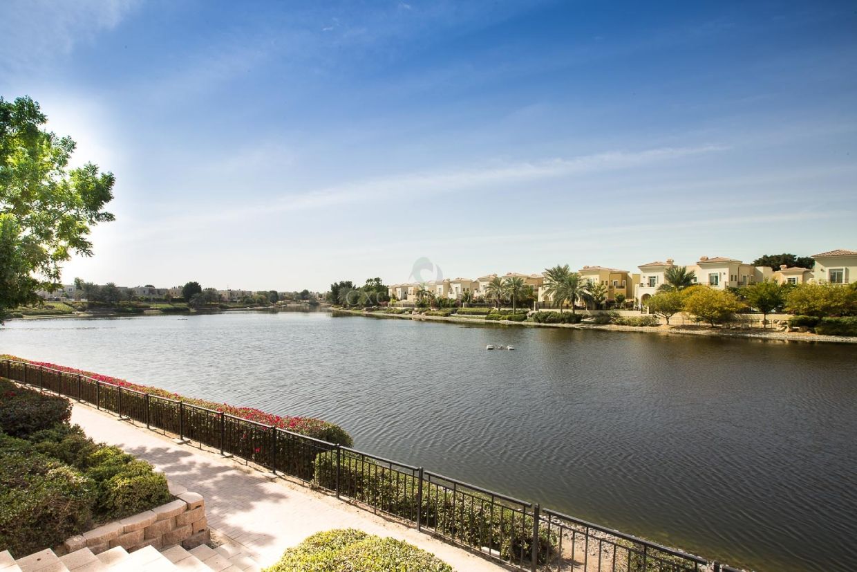 Al reem lake banner - Exclusive Links - Exclusive Links