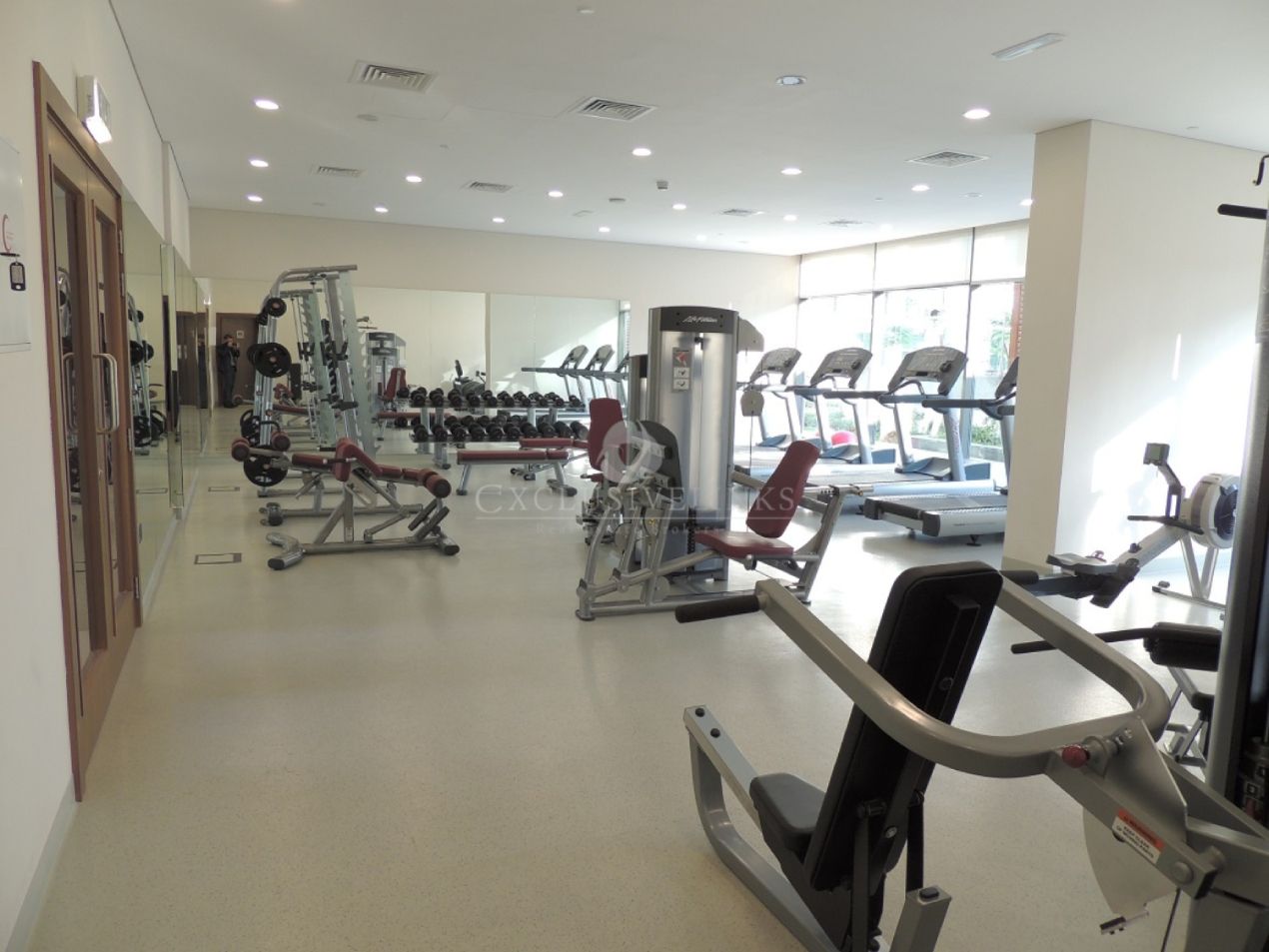 Panorama gym banner - Exclusive Links - Exclusive Links