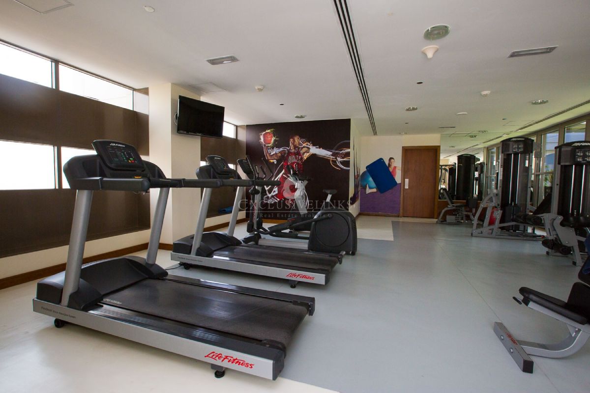 The spirit treadmills - Exclusive Links - Exclusive Links