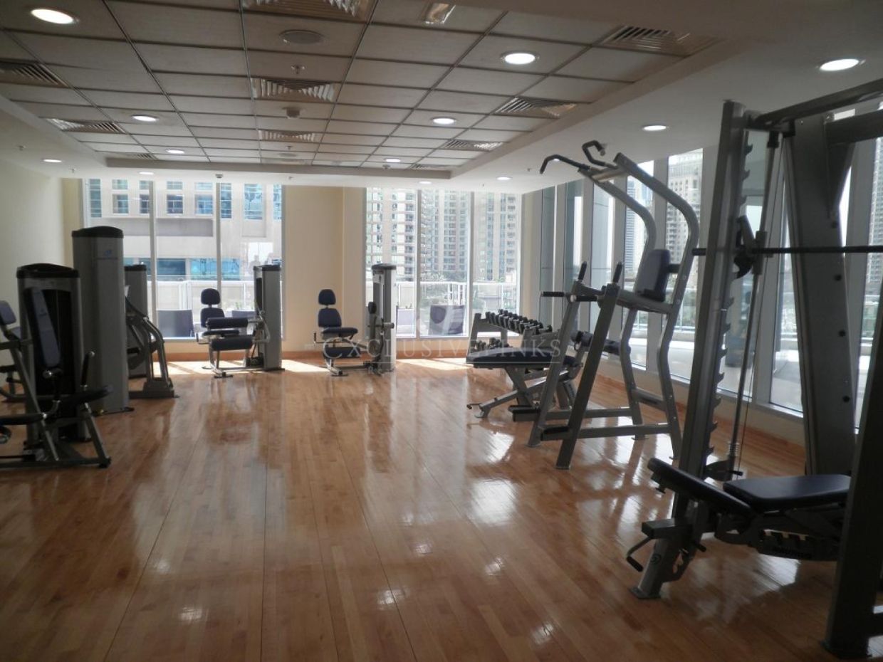 The Torch - Exclusive Links