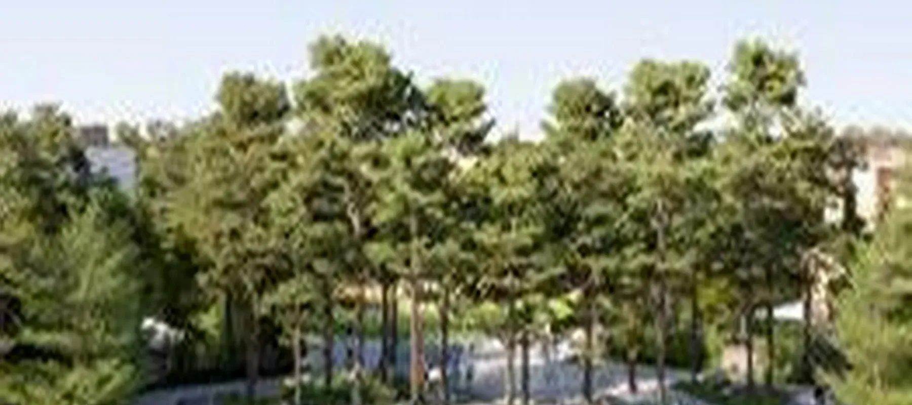 Sobha Elwood, Dubailand
