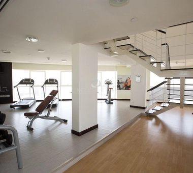 Images-Gallery - Exclusive Links - undefined