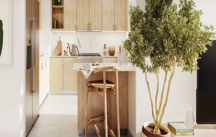 Dubai, United Arab Emirates -  Exclusive Links - undefined